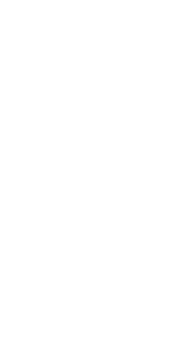 Salena Logo weiss edited